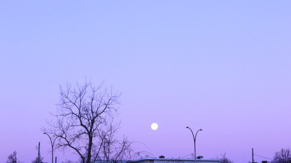 HOME img 7418