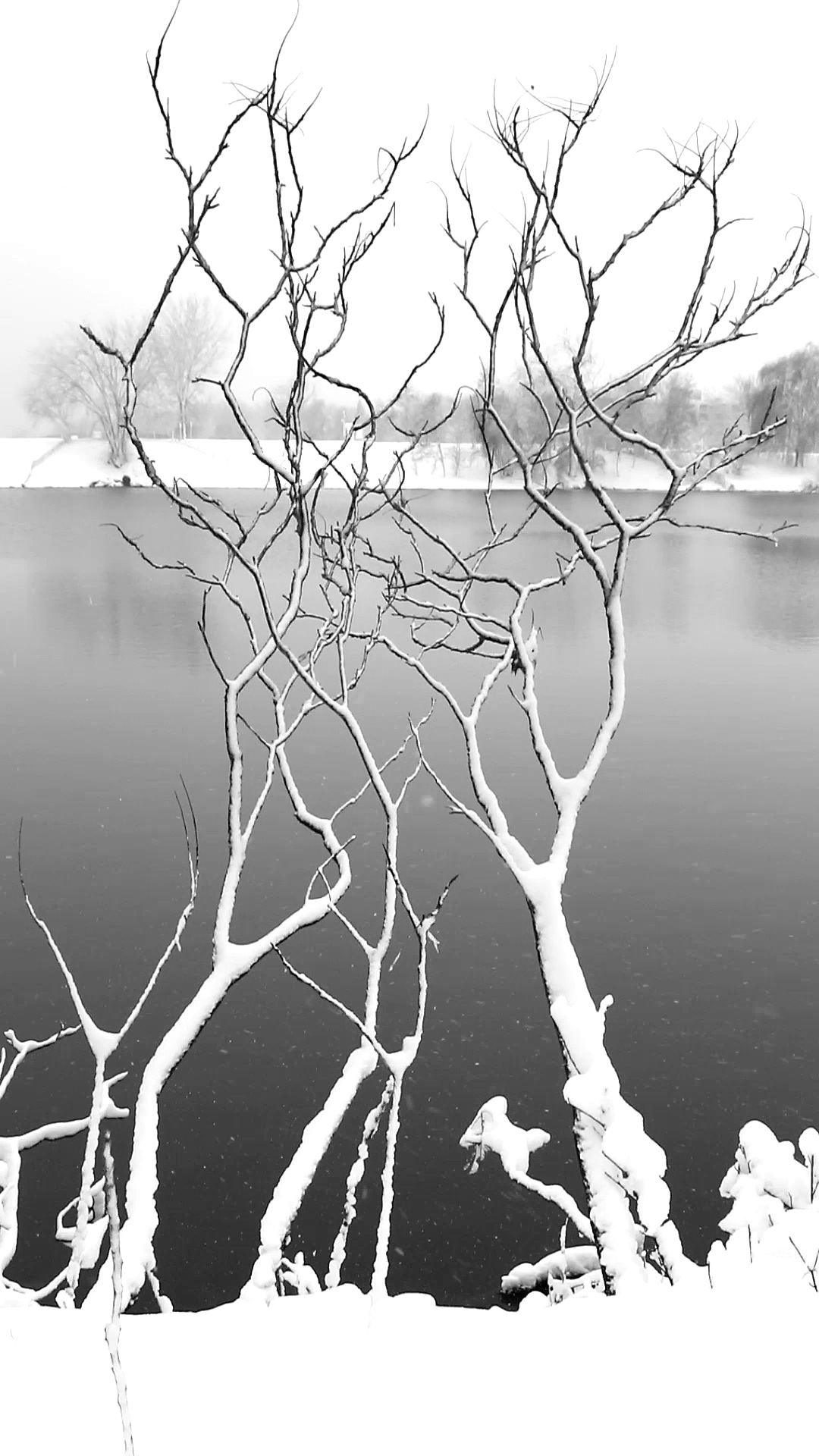 ABOUT sequence pour mon wordpress00108211